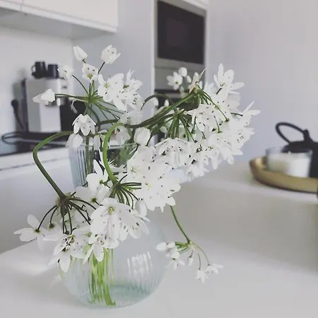 Lejlighed Mypalmassuite With Free Parking In